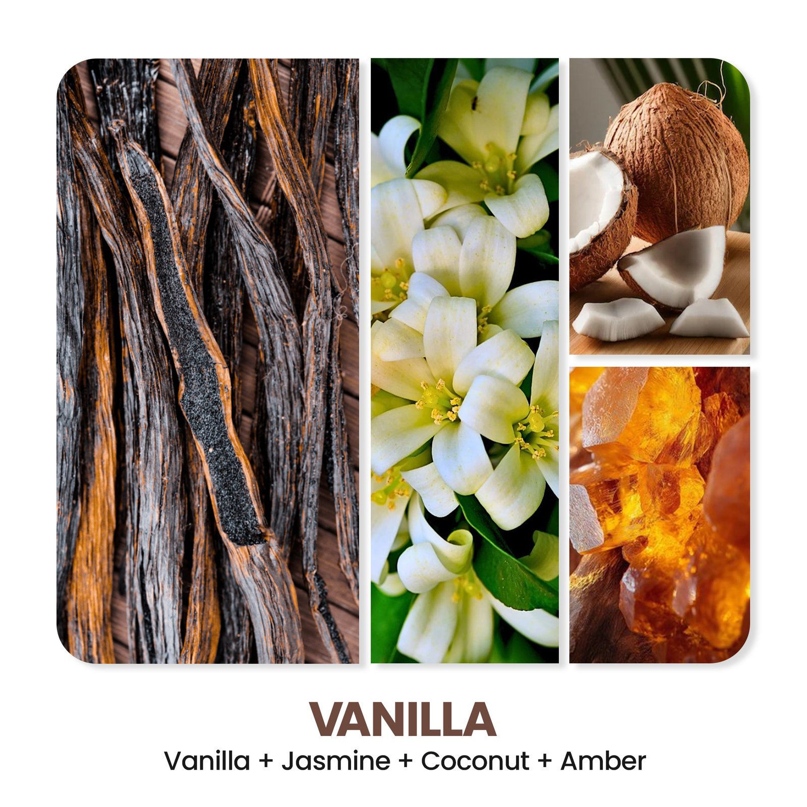 Vanilla 3 Vanilla-3