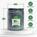 Eucalyptus mint candle image from Tridev Candles featuring fresh herbal fragrance, handcrafted design, and cooling calming home ambiance experience.