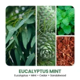 Eucalyptus Mint scented candle by TriDev Candles with a refreshing herbal fragrance, ideal for relaxation, aromatherapy, home décor, and gifting.