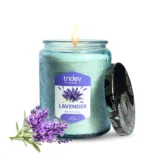 Lavender themed decorative image used for website design, representing calmness, natural fragrance, and elegant floral aesthetic visual appeal.
