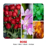 Rose scented candle by TriDev Candles with a rich floral fragrance for relaxation, home décor, and gifting