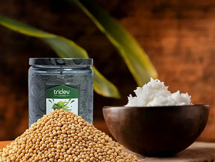 Soy vs. Paraffin Candles: Which Is Better for You?