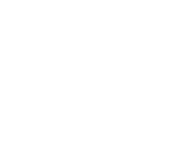 Decorative leaf line icon used as a design element to enhance visual separation and add natural elegant styling.
