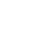 Decorative natural leaf element used as a divider to enhance design aesthetics and create a soft organic visual separation.